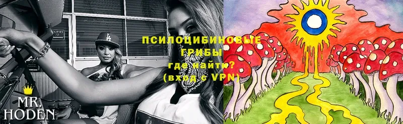 Галлюциногенные грибы Magic Shrooms  Спасск-Рязанский 